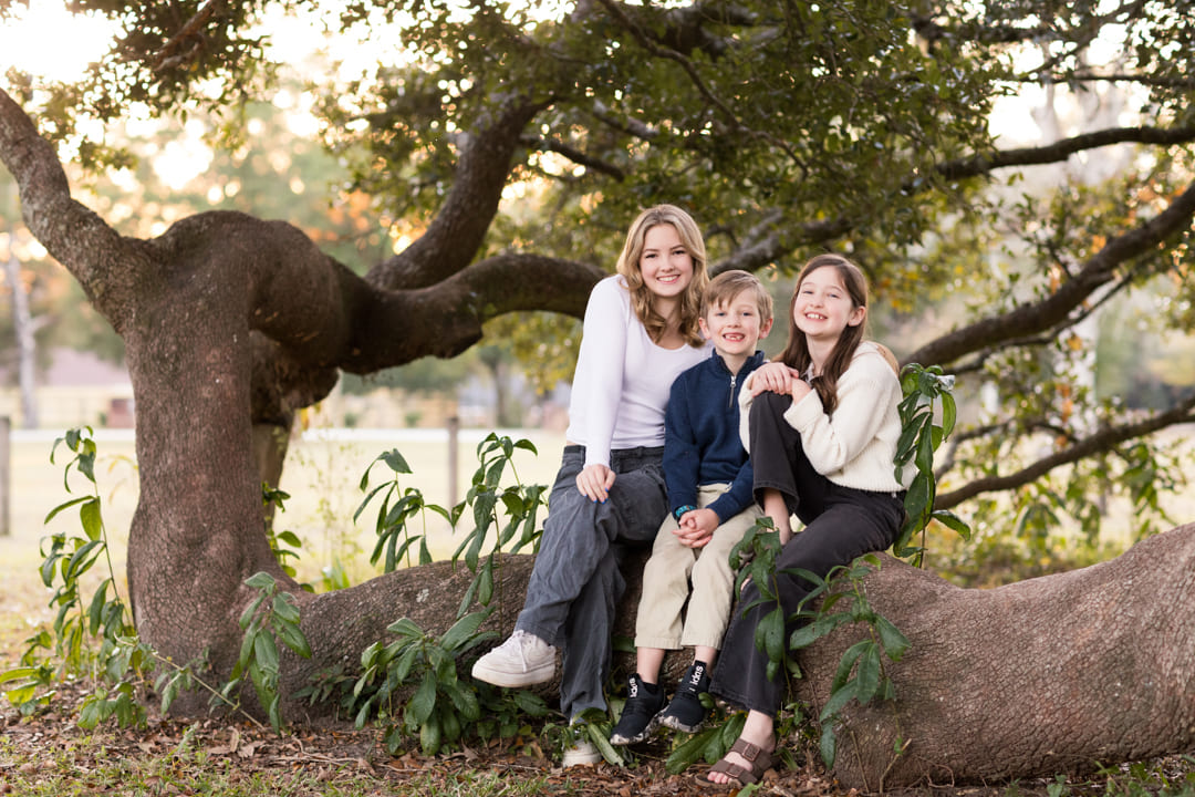 Cover for the Wackermann gallery